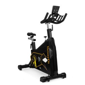 ����-���� ���������������� VictoryFit VF-GymRider 225