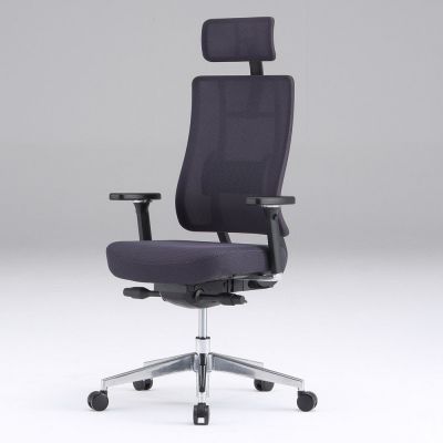 ������������ ������ Falto X Trans ������ ����