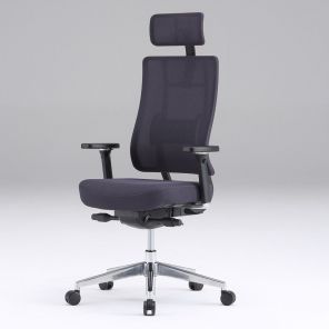 ������������ ������ Falto X Trans ������ ����