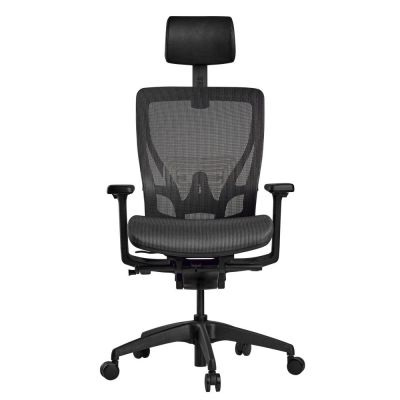 ������� ������ Schairs Aeon-�01�