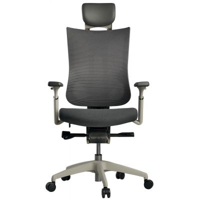 �������������� ������ Schairs Tone-M01W