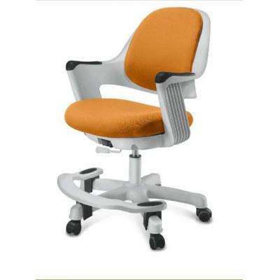 ������� ������������ ������ Synif Robo