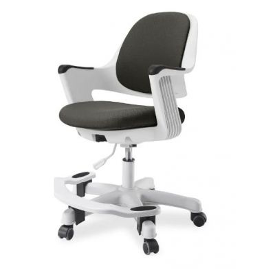 ������� ������������ ������ Synif Robo