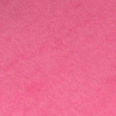 ���� �������� Takasima �� 1-2 ������� ����