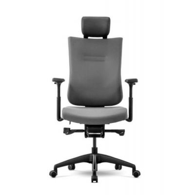 ������ ��� ����� ������������ Schairs TONE-F01B