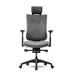 ������ ��� ����� ������������ Schairs TONE-F01B