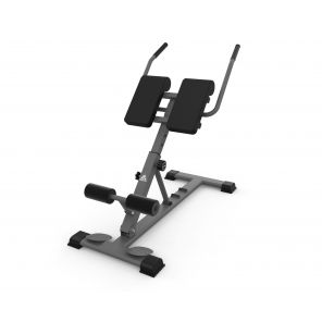 �������� �������������� DFC Homegym SUB027